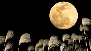 9月２５日は十五夜です