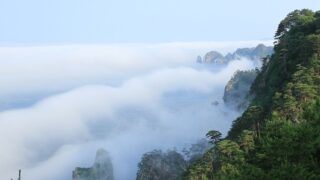 岩手厳選Bコース